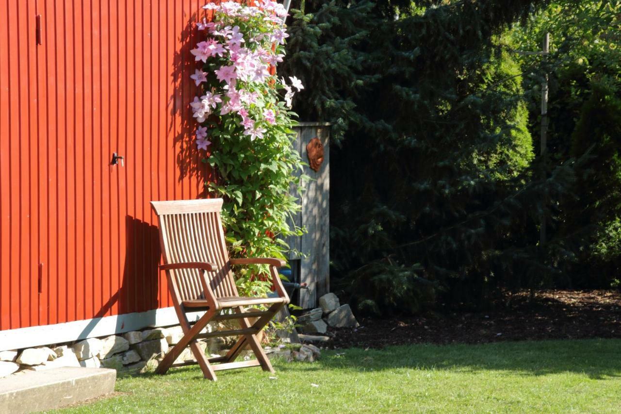 Haus Kolmesfeld Apartman Sensweiler Kültér fotó